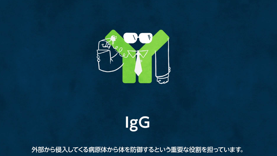 免疫グロブリンG（IgG）