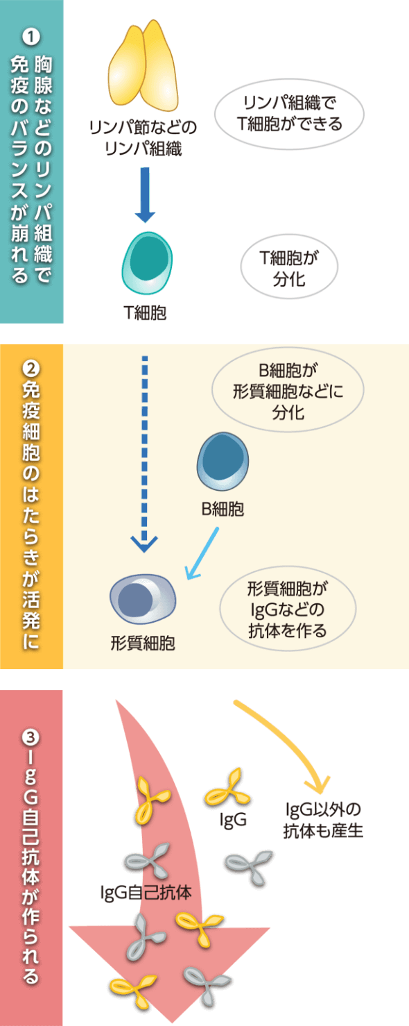 ステロイド・免疫抑制薬